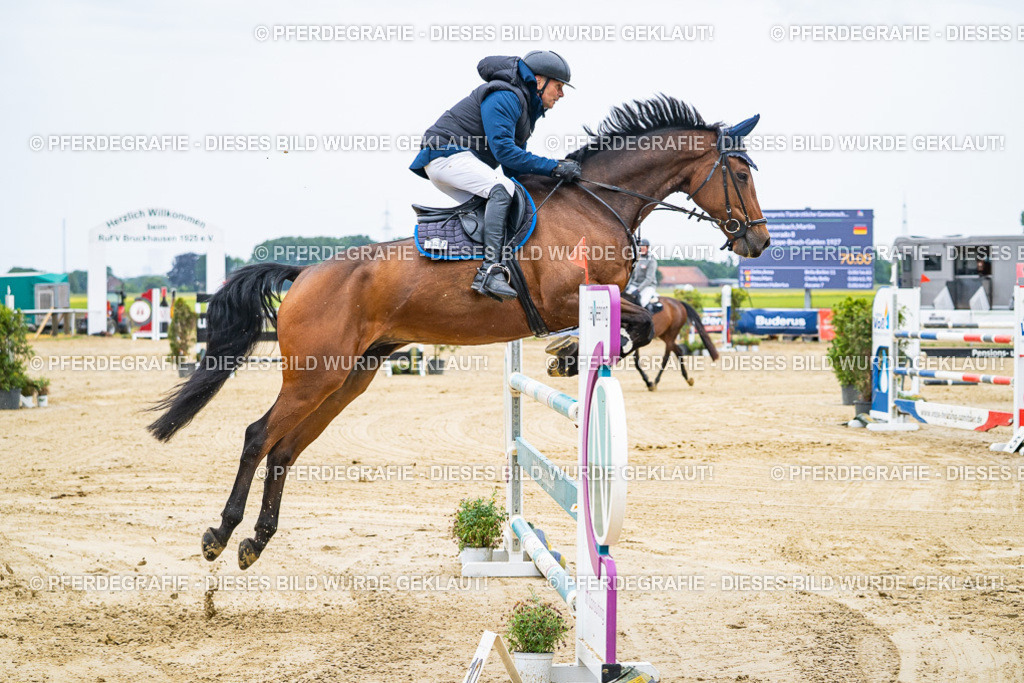 DSC09115 | Pferdegrafie