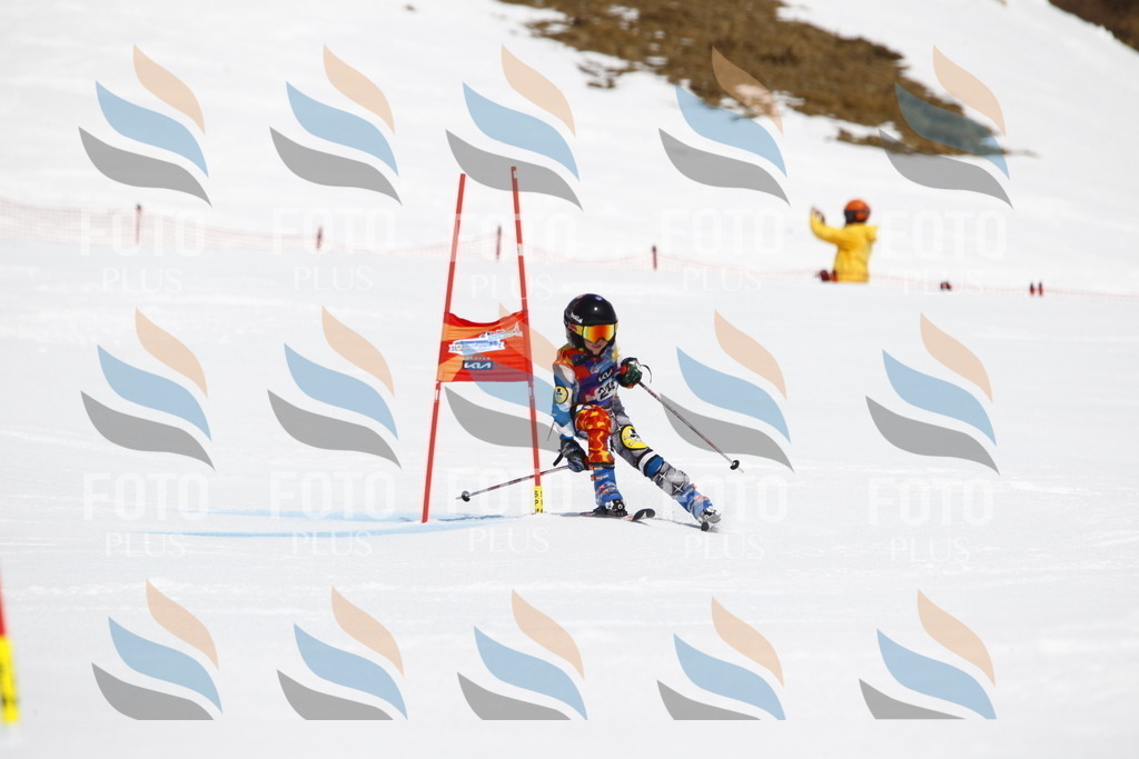 _U3G6210 | holidayphoto