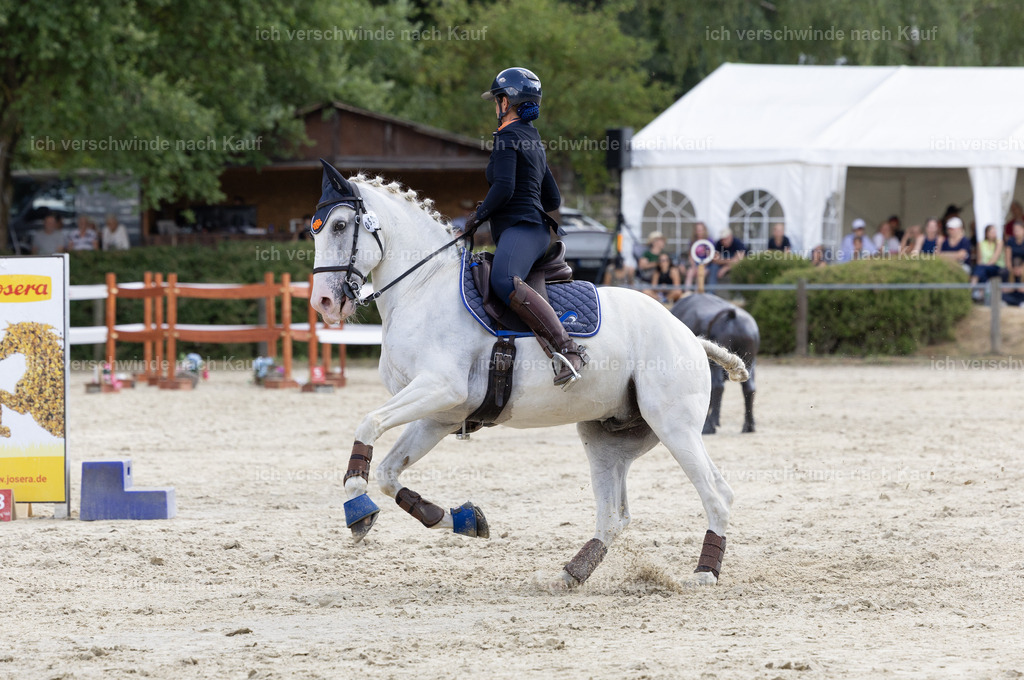 WS_SPEED_52_KerstinBernhardt-7 | working equitationturnier fotograf videograf stoibphotography marixx film working equitation deutschland reitsport turnierfotografie eventfotografie equestrian events