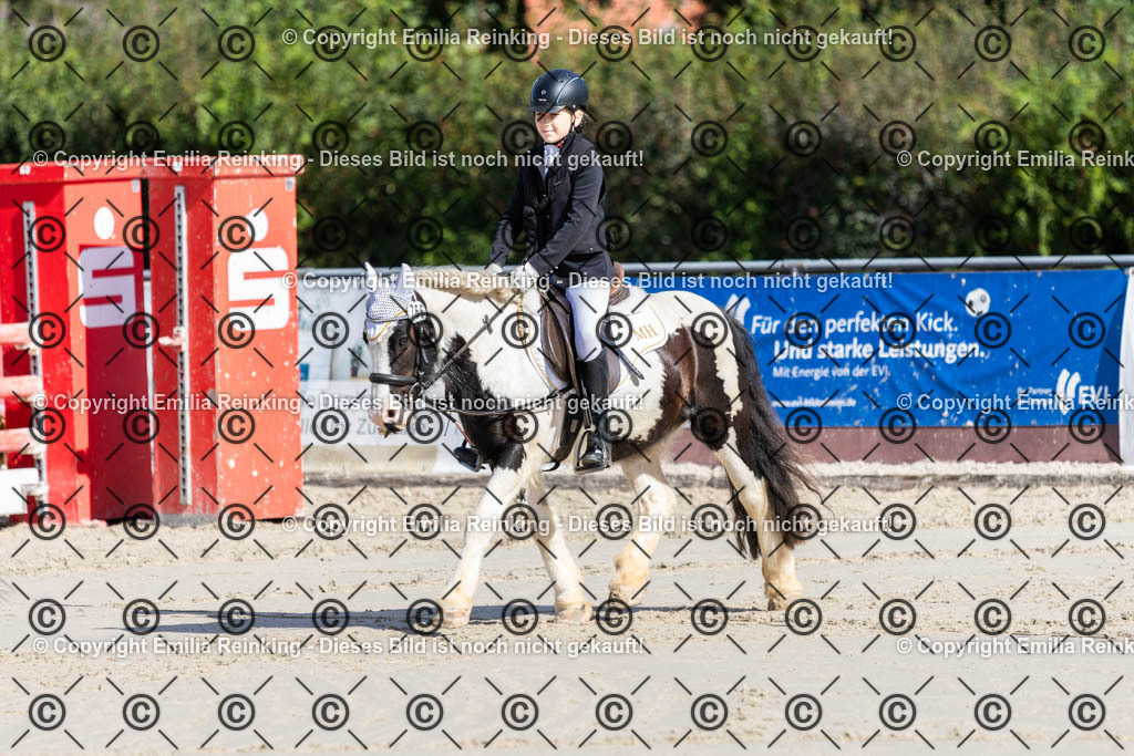 CL5A1812 | Emilia Reinking Fotografie - Realisiert mit Pictrs.com