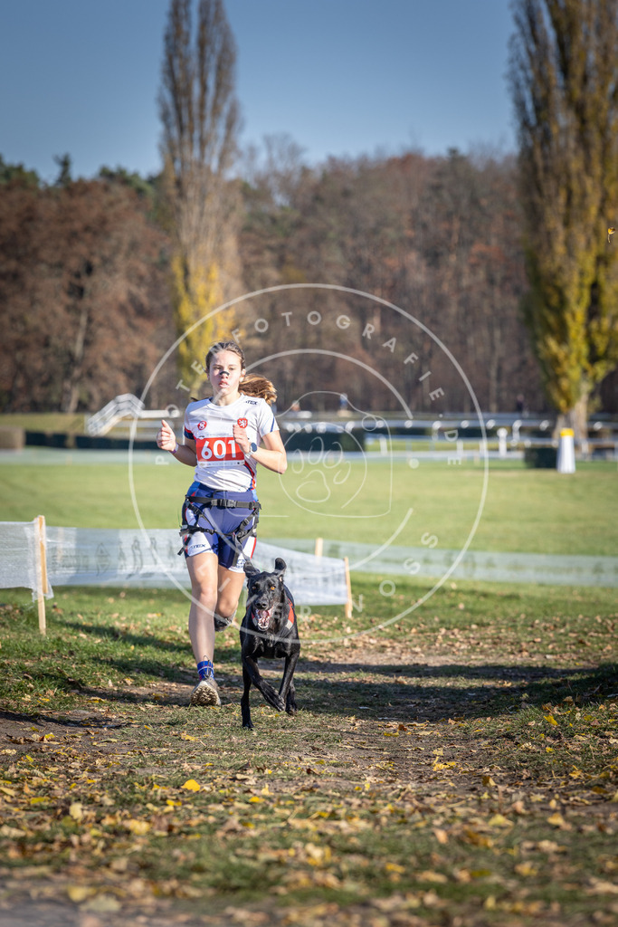 CaniXpix_DV3A9485 | Hundefotografie, Tierfotograf, Pfotenfotografie, Fotoshooting Hund, Hunde Portrait, Hundesport, Hundeportraits, Heideshooting, Hunde, Sportfotograf, Hundefotograf, Turnierhundsport, THS,  - Realisiert mit Pictrs.com