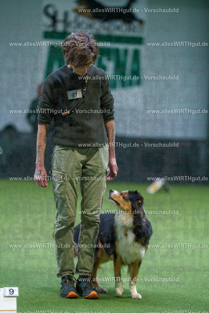 7R506054 | Professionelle Tierfotografie in Mönchengladbach von Daniel Wirth (allesWIRTHgut). Liebevolle & natürliche Bilder von Hunden & Katzen für unvergessliche Erinnerungen.