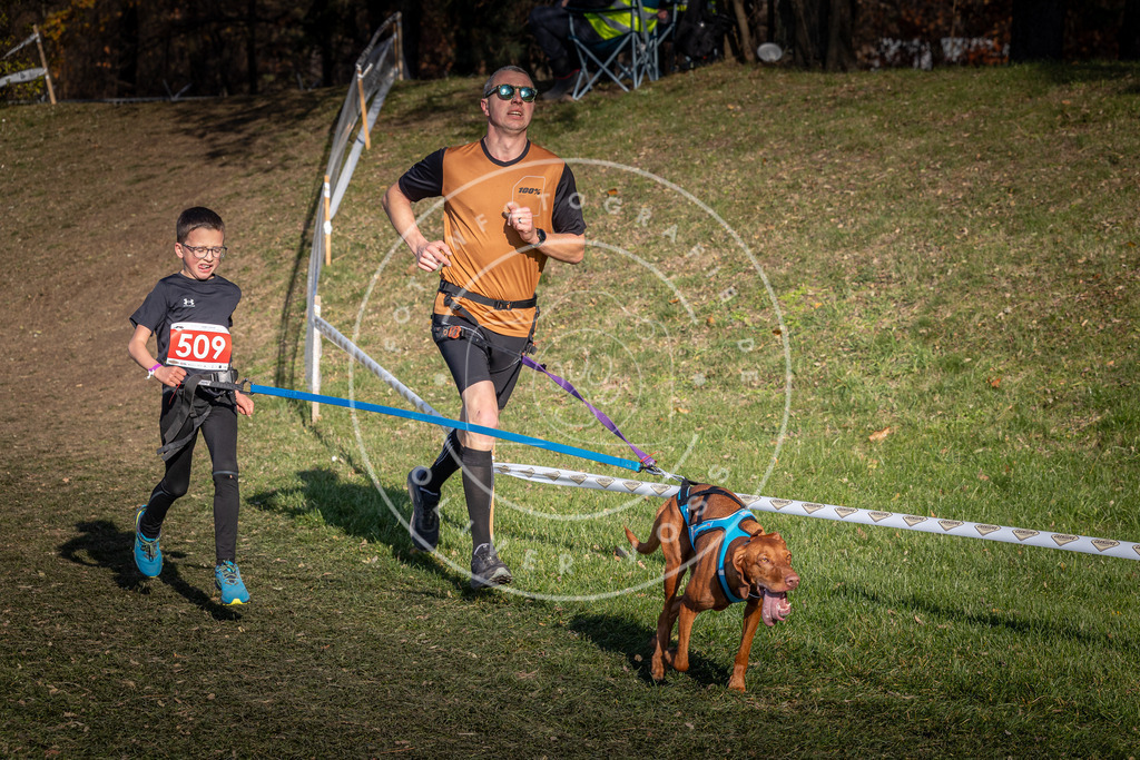 CaniXpix_0L8A8466 | Hundefotografie, Tierfotograf, Pfotenfotografie, Fotoshooting Hund, Hunde Portrait, Hundesport, Hundeportraits, Heideshooting, Hunde, Sportfotograf, Hundefotograf, Turnierhundsport, THS,  - Realisiert mit Pictrs.com