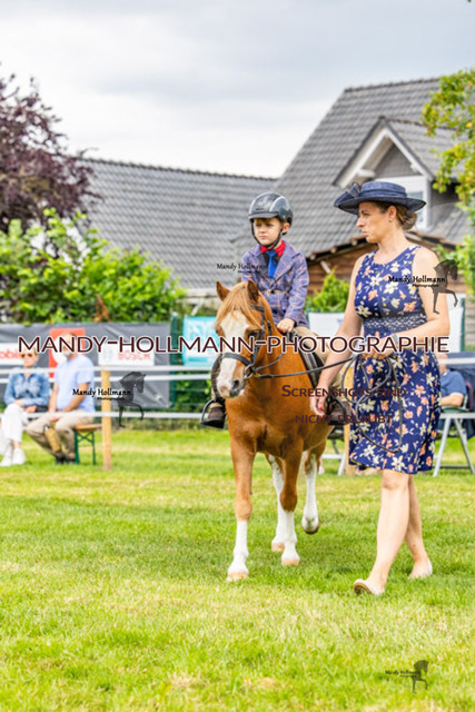 Spiele (166) | mandyhollmannphotographie