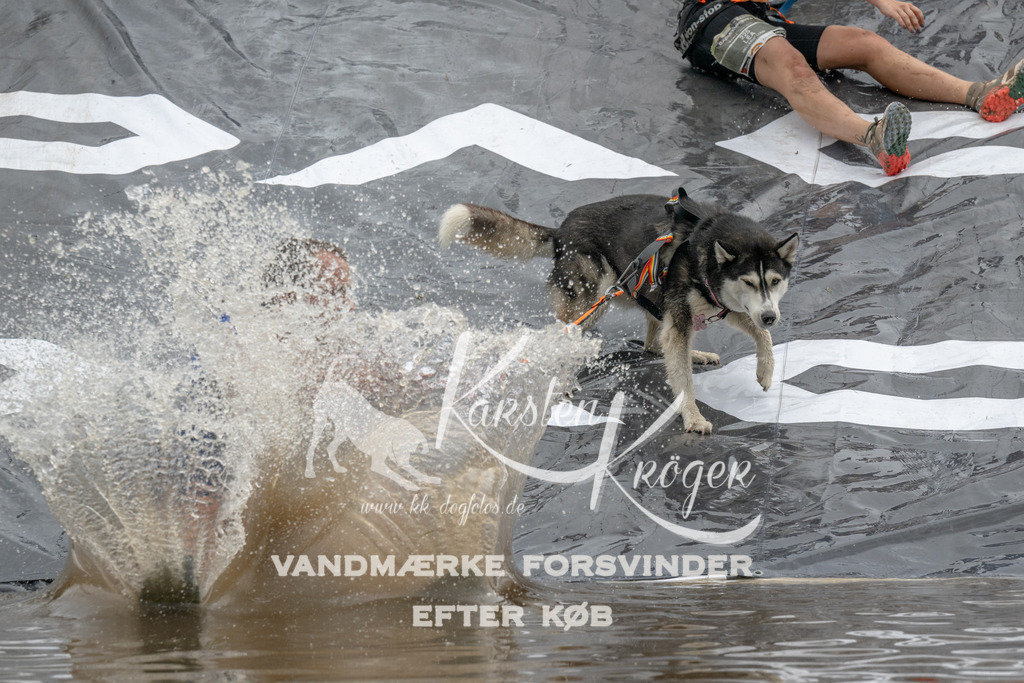 1547_ZZ90610 | kk-dogfotos