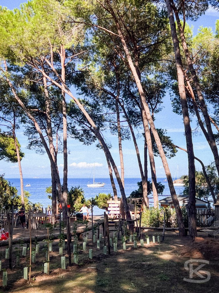 Mediterraner Küstentraum: Pinien mit Strandbar am Meer, Spiaggia di Istia, Elba – Wandbild | Mediterrane Pinien am Ufer der Spiaggia Si Istia auf Elba, mit Blick auf das türkisblaue Meer und Strandbar, Küstenlandschaft und Boote im Hintergrund - Realisiert mit Pictrs.com