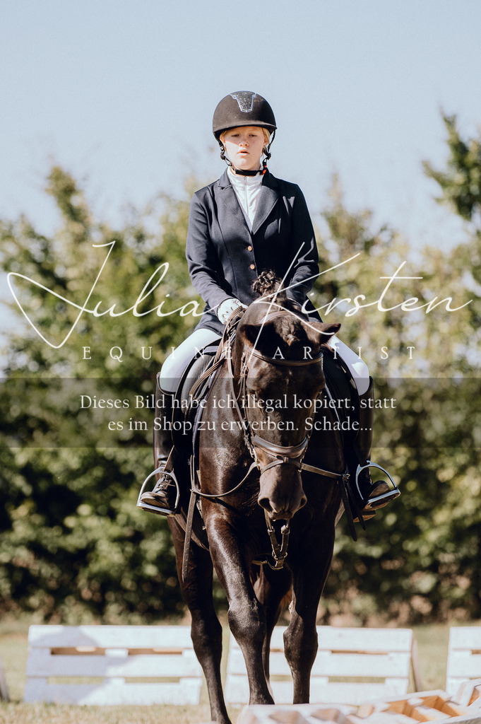 DSC_7252 | Pferde- und Turnierfotografie in Westsachsen. Pferdeportraits, Auftragszeichnungen und intuitive Kunst.