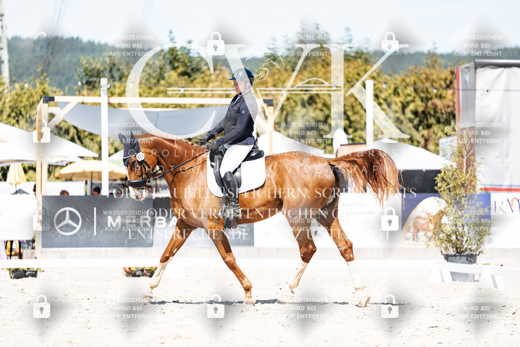 CK900093 | Turnierfotografie Pferdefotografie Trier Rheinland-Pfalz Pferdesport Reitsport Tierfotografie Sportfotografie Pferdevideo Pferdevideografie Equestrianvideography equestrianphotography  - Realisiert mit Pictrs.com