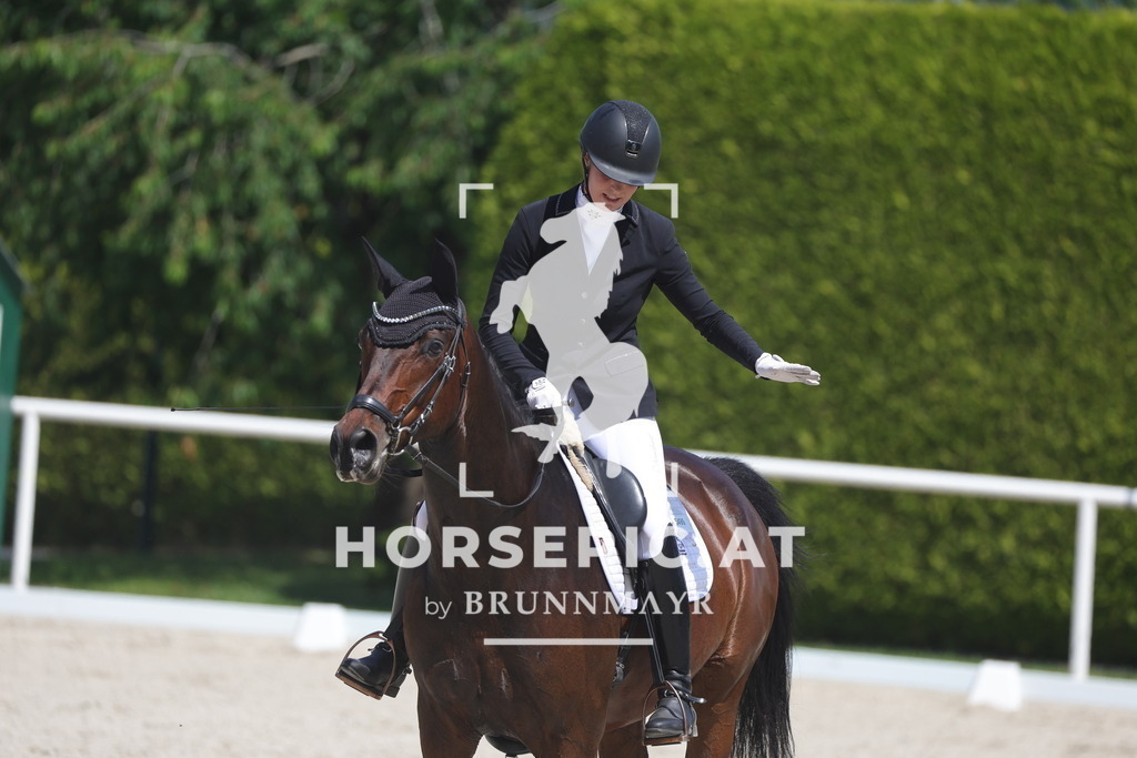 0P6A6199 | Willkommen bei Brunnmayr - Design & Fotografie – Ihrem Spezialisten für Reitturniere und Pferdeveranstaltungen in Oberösterreich, Salzburg und Bayern! Seit über 17 Jahren sind wir leidenschaftlich dabei.