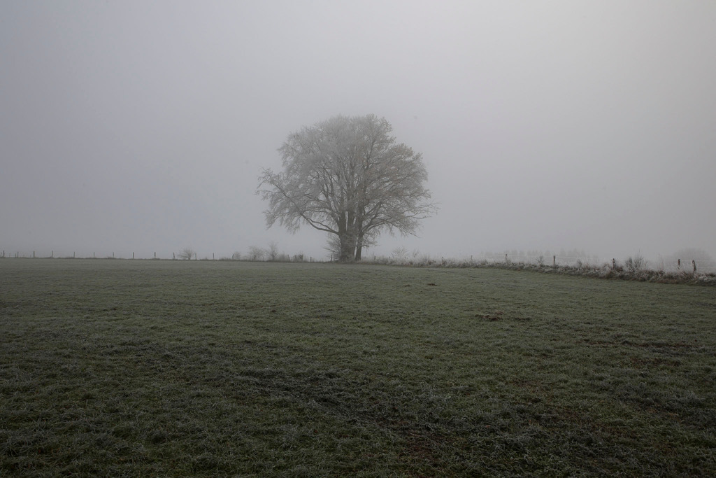 Raureif_Weisten_101222_21 | Bildergalerie von Sport-Ereignissen aber auch von weiteren spannenden Dingen - nicht nur vom Niederrhein. In Anlehnung an den bekannten Spruch von Hanns Dieter Hüsch heißt das Motto: "Niederrhein ist überall".  - Realisiert mit Pictrs.com