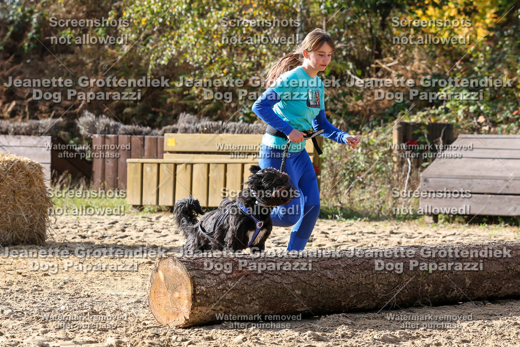 Dog Paparazzi - Strongdog 10-25-5896 | Dog Paparazzi Jeanette Grottendiek Fotografie & Videografie - Realisiert mit Pictrs.com