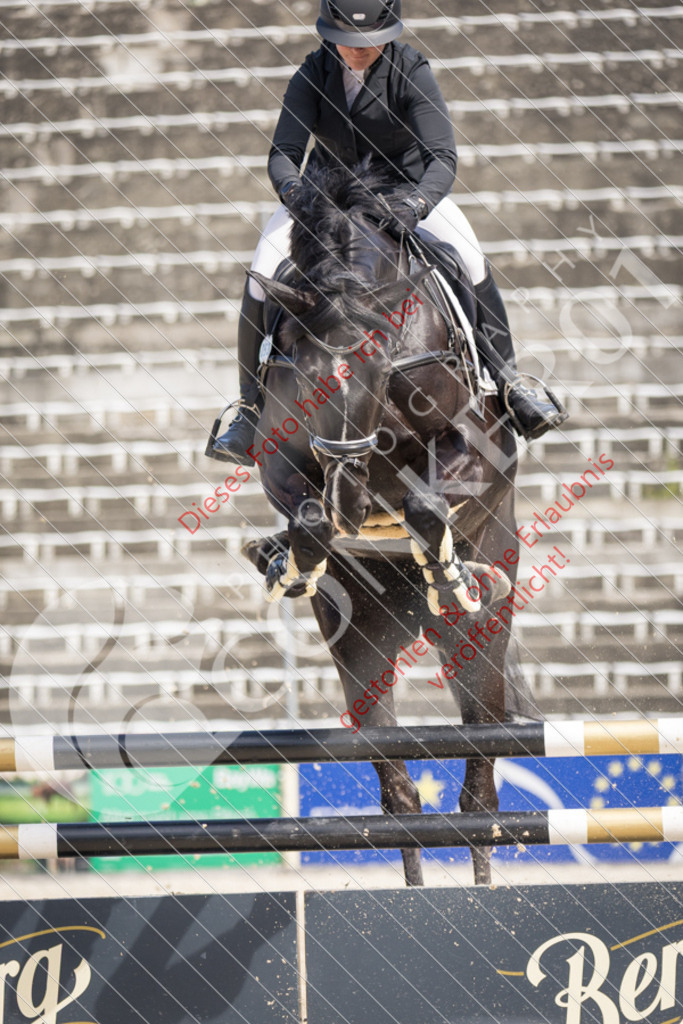 IMG_4982 | Sport-, Event- und Tierfotos in Profiqualität. Einfach auswählen, bestellen und herunterladen. Dein Moment – perfekt festgehalten.
