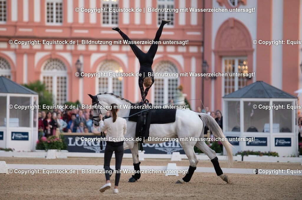 20230527_Voltigieren_NASPA_Flutlicht_0094 | equistock