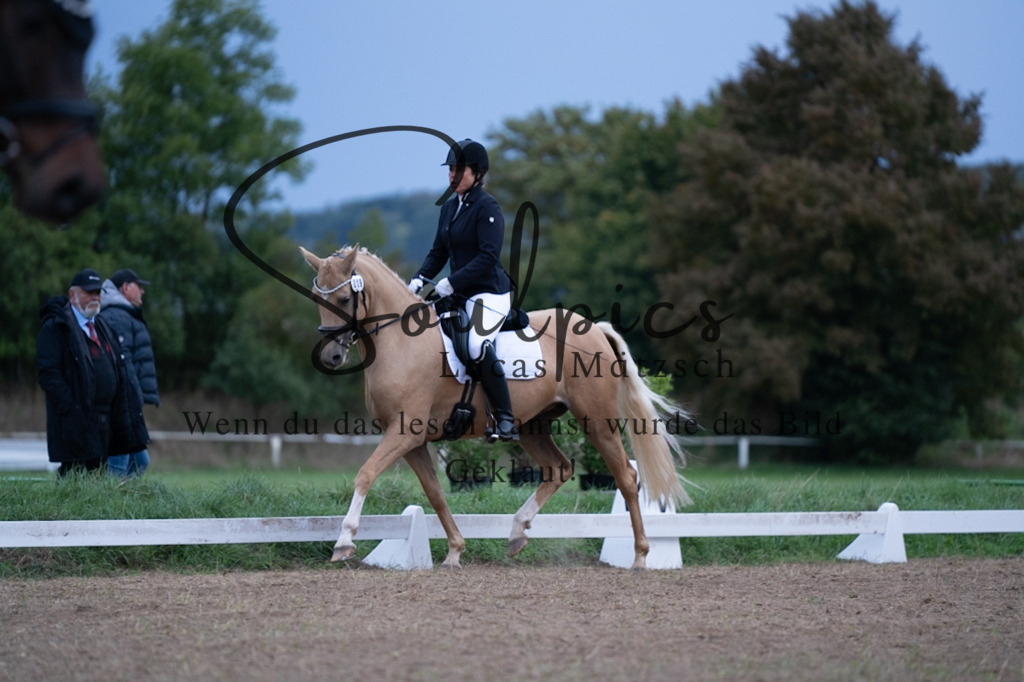 A7V04846 | Pferdefotograf