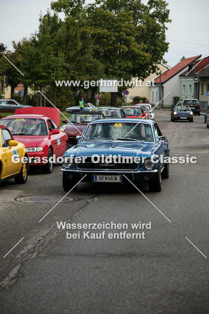 IMG_4512 | Gerhard Witt