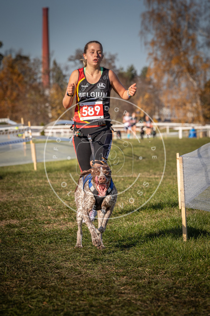 CaniXpix_0L8A8335 | Hundefotografie, Tierfotograf, Pfotenfotografie, Fotoshooting Hund, Hunde Portrait, Hundesport, Hundeportraits, Heideshooting, Hunde, Sportfotograf, Hundefotograf, Turnierhundsport, THS,  - Realisiert mit Pictrs.com
