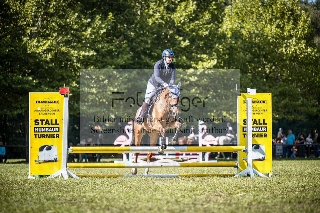 Z63_0081 | Entdecke hochwertige Reitturnierfotos von Foto Oger. Professionell, emotional und authentisch – jetzt Lieblingsmomente im Shop bestellen.Deutschlandweite Turnierfotografie. - Realisiert mit Pictrs.com