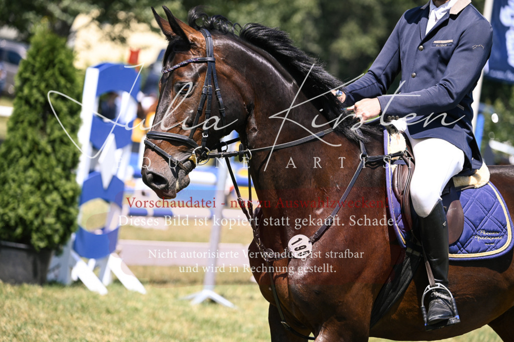 DSC_0150 | Pferde- und Turnierfotografie in Westsachsen. Pferdeportraits, Auftragszeichnungen und intuitive Kunst.
