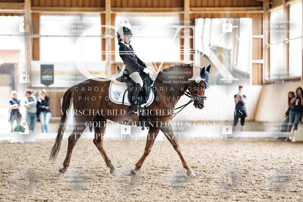 CK901699 | Turnierfotografie Pferdefotografie Trier Rheinland-Pfalz Pferdesport Reitsport Tierfotografie Sportfotografie Pferdevideo Pferdevideografie Equestrianvideography equestrianphotography  - Realized with Pictrs.com