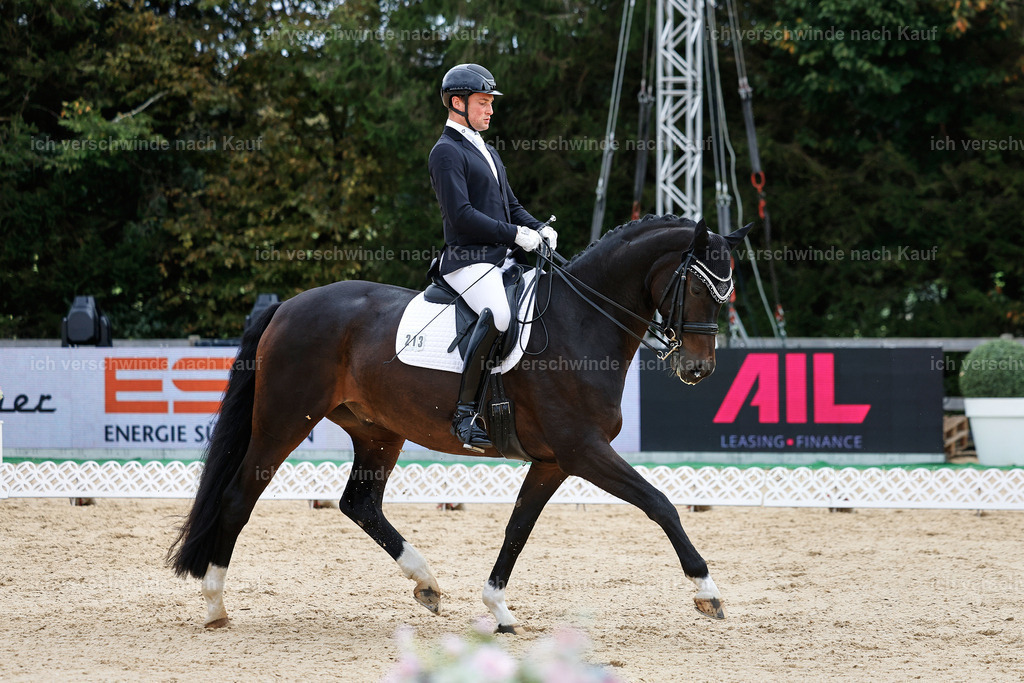 3-213-Dressur M_-StoibPH-2493 | working equitationturnier fotograf videograf stoibphotography marixx film working equitation deutschland reitsport turnierfotografie eventfotografie equestrian events