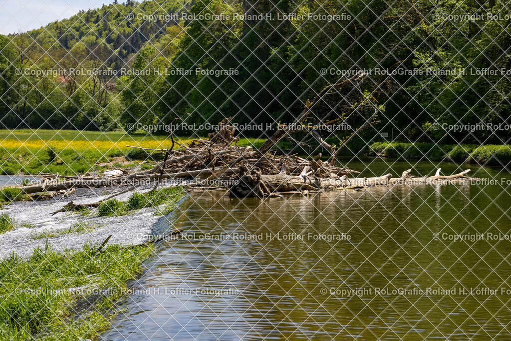 Donau-Donautal-13 | IPTC Infos - Realisiert mit Pictrs.com
