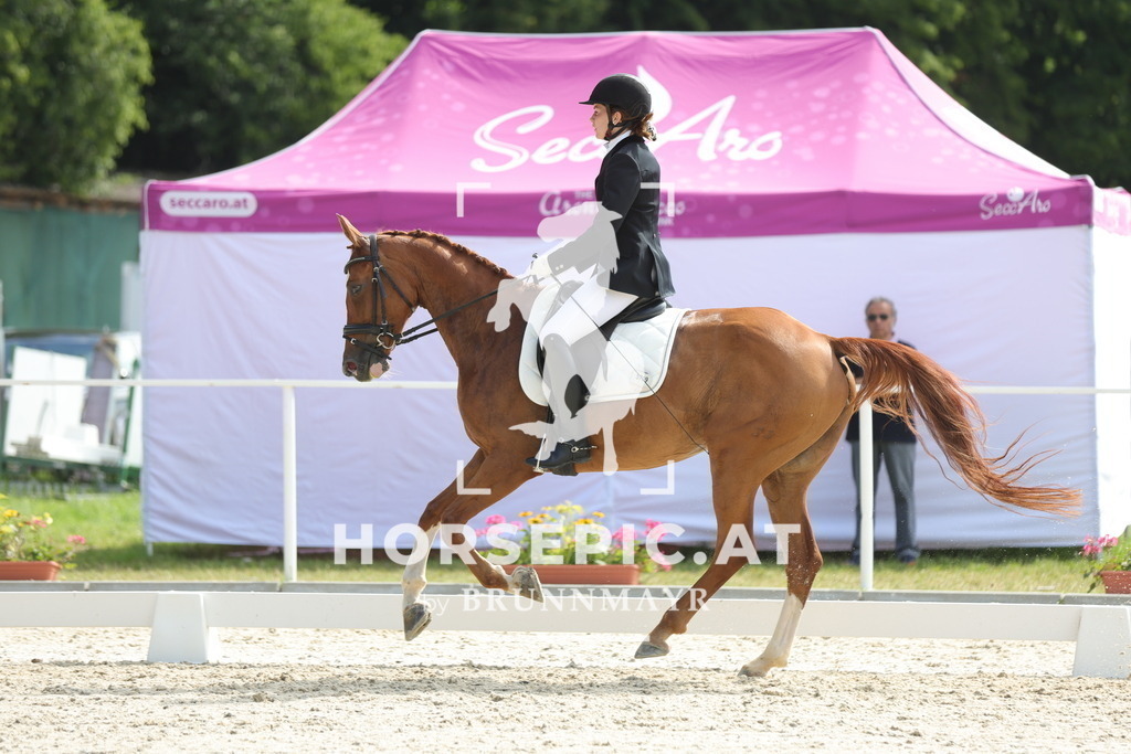 0P6A5008 | Willkommen bei Brunnmayr - Design & Fotografie – Ihrem Spezialisten für Reitturniere und Pferdeveranstaltungen in Oberösterreich, Salzburg und Bayern! Seit über 17 Jahren sind wir leidenschaftlich dabei.