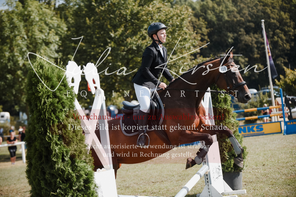 DSC_5255 | Pferde- und Turnierfotografie in Westsachsen. Pferdeportraits, Auftragszeichnungen und intuitive Kunst.