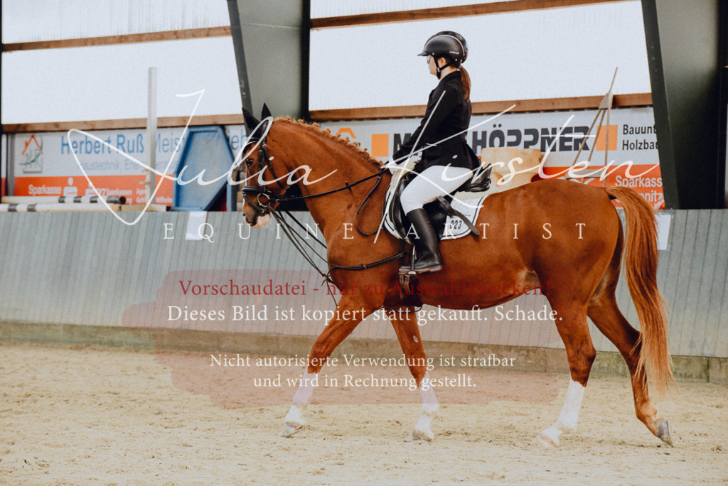 DSC_7279 | Pferde- und Turnierfotografie in Westsachsen. Pferdeportraits, Auftragszeichnungen und intuitive Kunst.