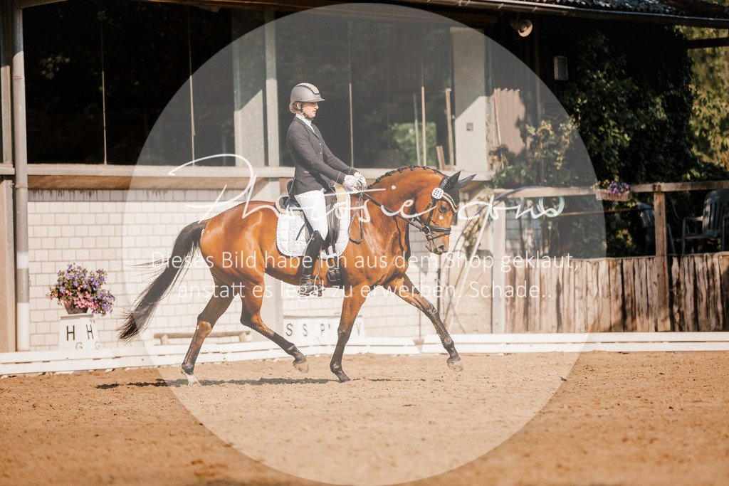 3I6A8926 | Stimmungsvolle Portraits und Reitsportfotografie im Ruhrgebiet und im Münsterland.

Pferdefotografie, Hundefotografie, Tierfotografie, Reportagen, Portraits von Tier und Mensch, Turnierfotografie in Bochum, Recklinghausen, Marl, Haltern am See, Dülmen.. - Realisiert mit Pictrs.com