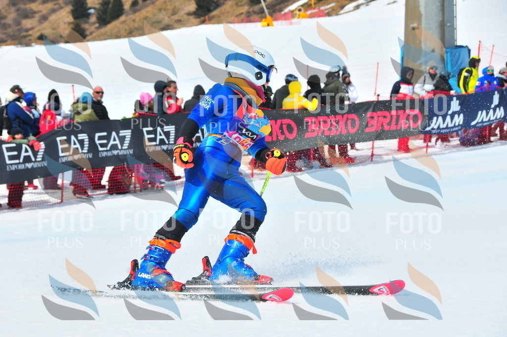 DSC_6142 | holidayphoto