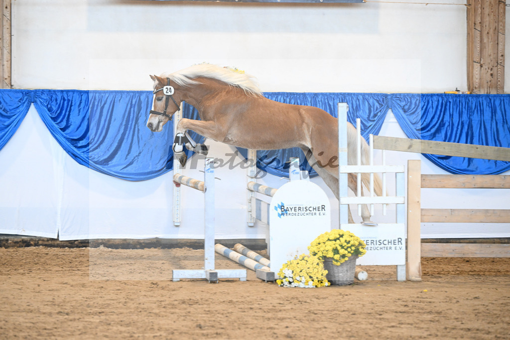 Kat-Nr. 24 nn v. Walkman M_Hartmann_48250493 | hf-fotografie - Realisiert mit Pictrs.com