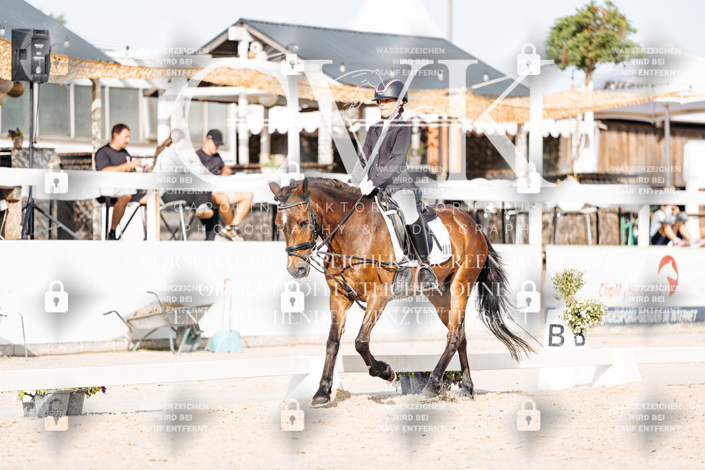 CK904824 | Turnierfotografie Pferdefotografie Trier Rheinland-Pfalz Pferdesport Reitsport Tierfotografie Sportfotografie Pferdevideo Pferdevideografie Equestrianvideography equestrianphotography  - Realisiert mit Pictrs.com