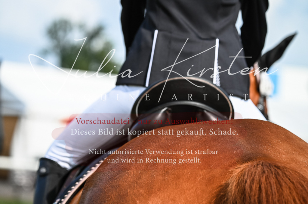 DSC_7944 | Pferde- und Turnierfotografie in Westsachsen. Pferdeportraits, Auftragszeichnungen und intuitive Kunst.