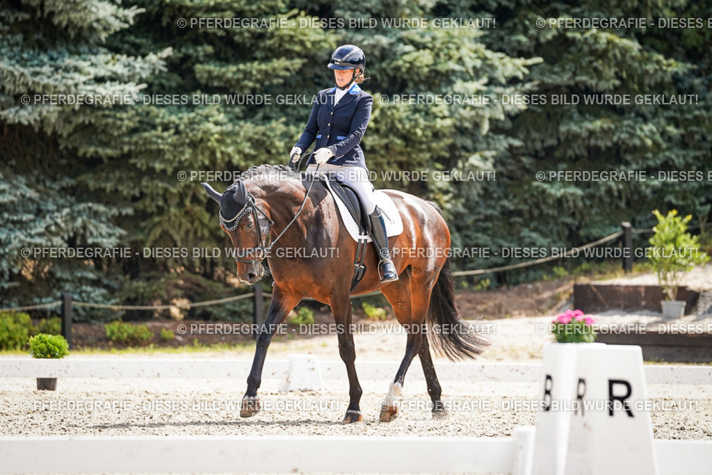 DSC09277 | Pferdegrafie