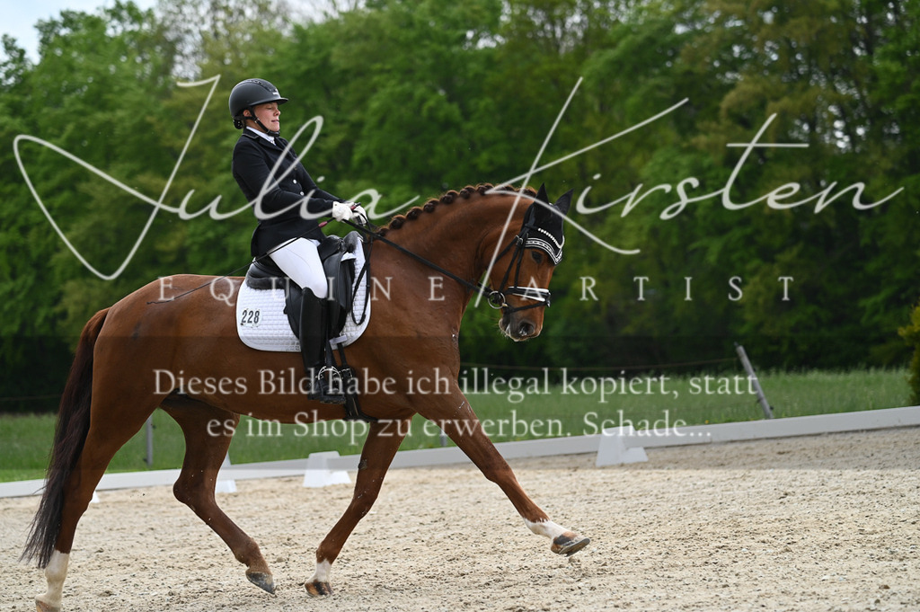 20230512_JK-Röhrsdorf-03-082 | Pferde- und Turnierfotografie in Westsachsen. Pferdeportraits, Auftragszeichnungen und intuitive Kunst.