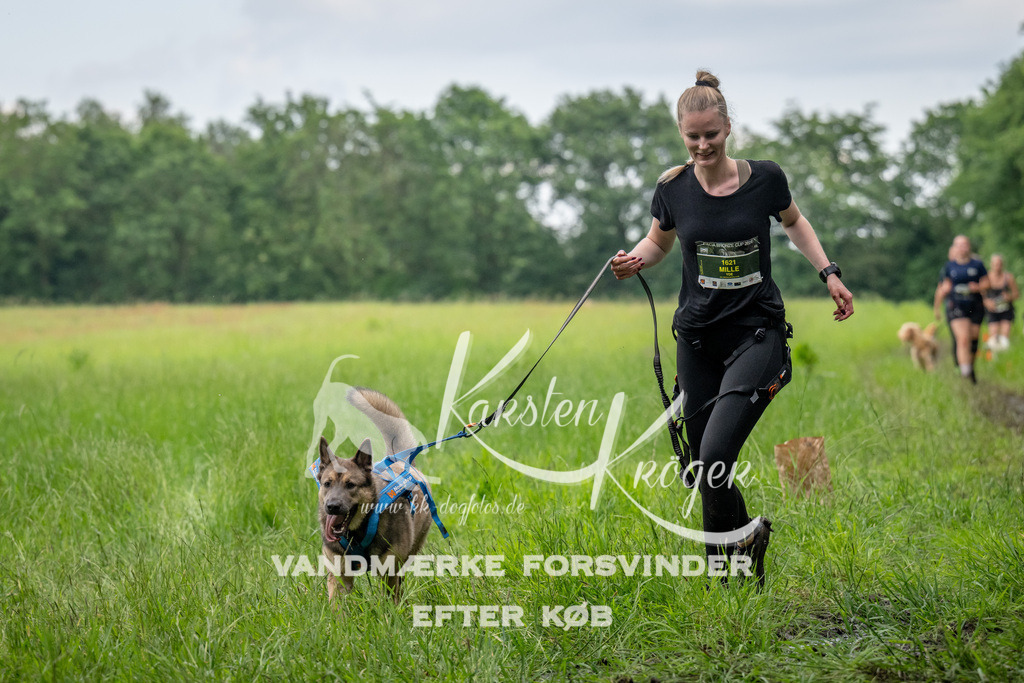 1557_ZZ91422 | kk-dogfotos