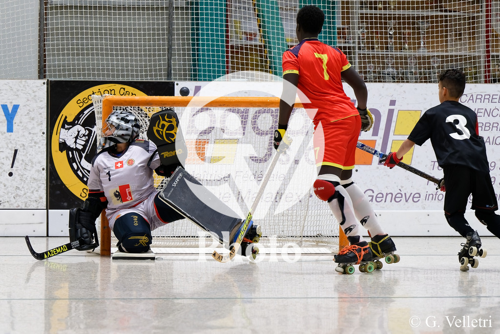 DSC_3516 | Velletri Photo