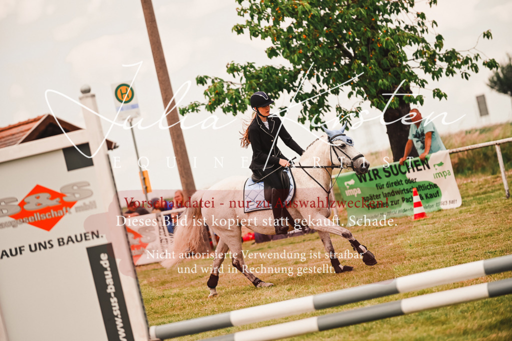 DSC_6973 | Pferde- und Turnierfotografie in Westsachsen. Pferdeportraits, Auftragszeichnungen und intuitive Kunst.
