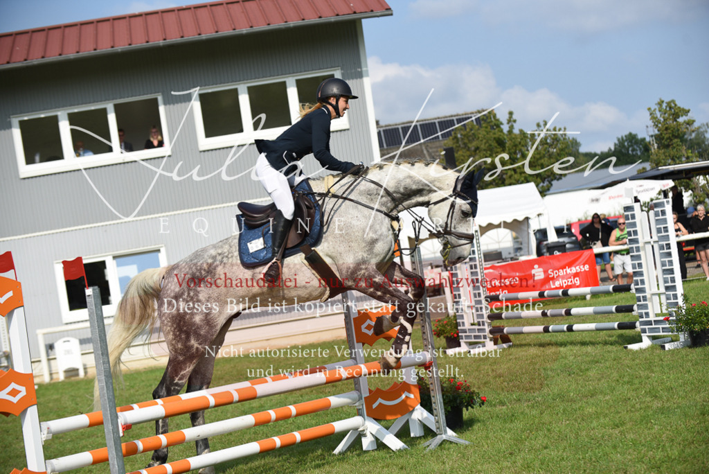 DSC_8763 | Pferde- und Turnierfotografie in Westsachsen. Pferdeportraits, Auftragszeichnungen und intuitive Kunst.