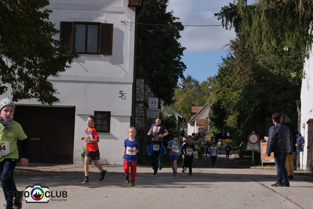 P1017486 | Foto Buchgraber