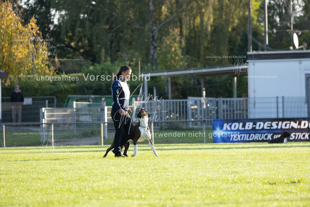 _16A6057 | Einzigartige Fotos von Hunden & Menschen –Actionfotos, Portraits, Vereinsaufnahmen & Paarshootings – authentisch, lebendig & mit Herz.