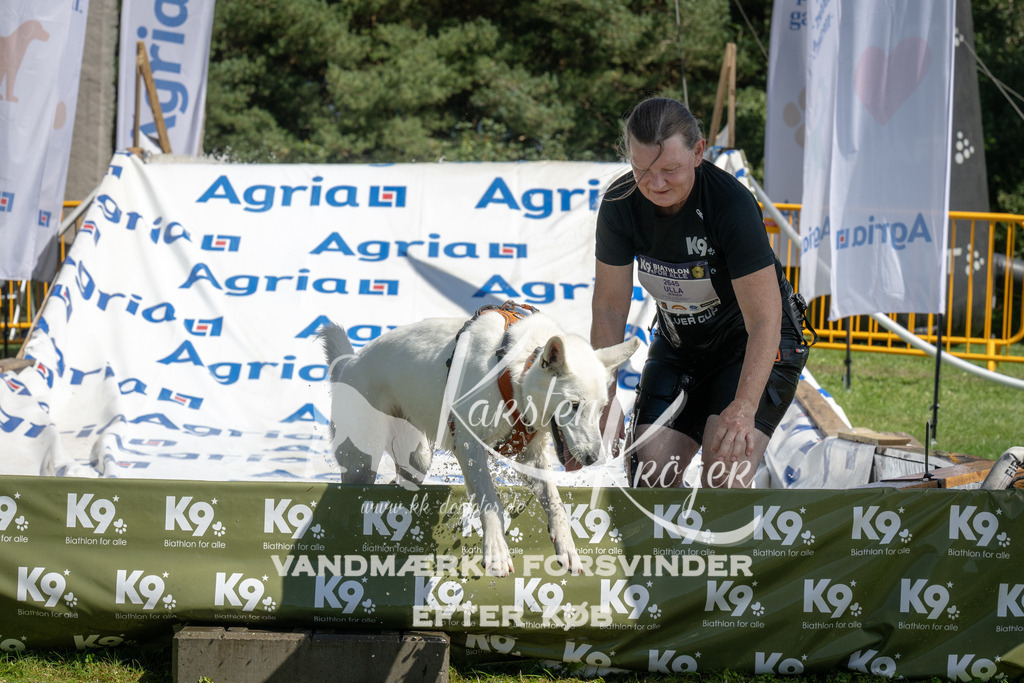 1218_ZZ95985 | kk-dogfotos