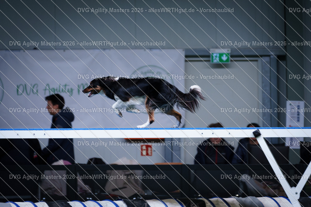 allesWIRTHgut_Tierfotografie-DVG_Agility_Masters_2026-12_32-7R502532 | Professionelle Tierfotografie in Mönchengladbach von Daniel Wirth (allesWIRTHgut). Liebevolle & natürliche Bilder von Hunden & Katzen für unvergessliche Erinnerungen.