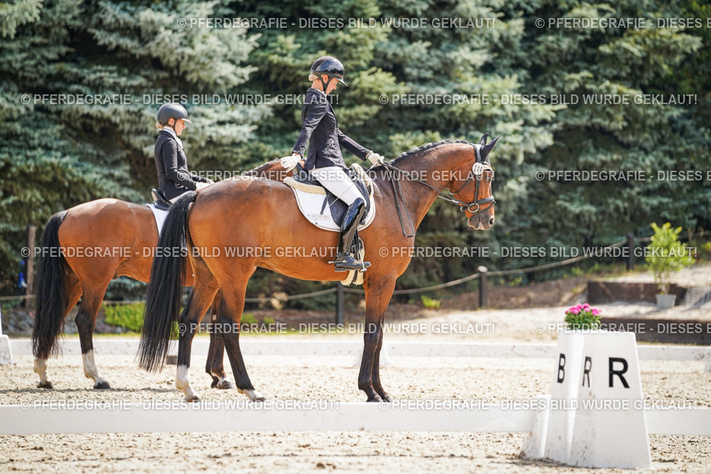 DSC08973 | Pferdegrafie