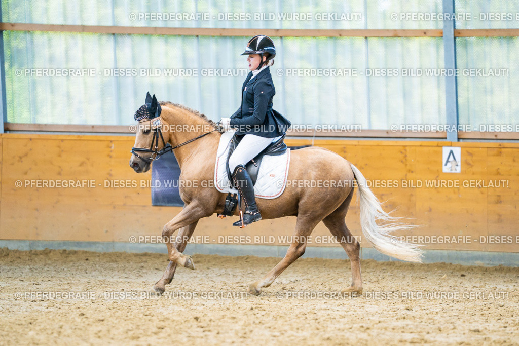 DSC07671 | Pferdegrafie