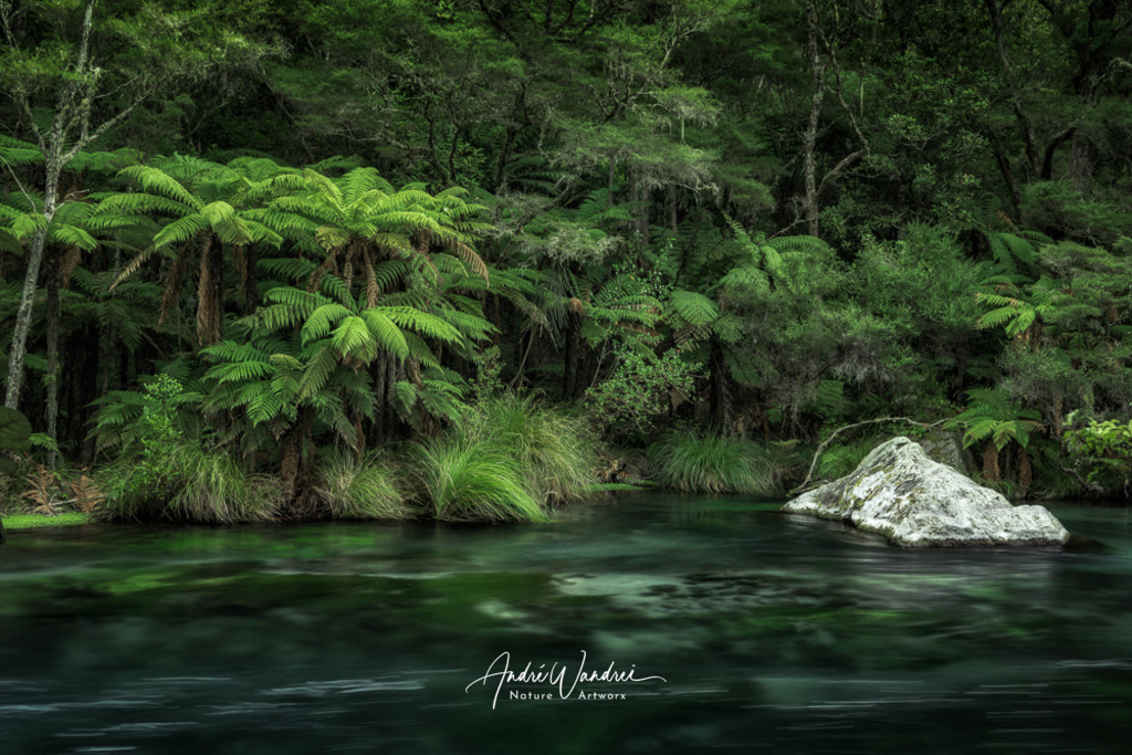 Am grünen Fluss | Andre Wandrei - Nature Artworx - Realisiert mit Pictrs.com