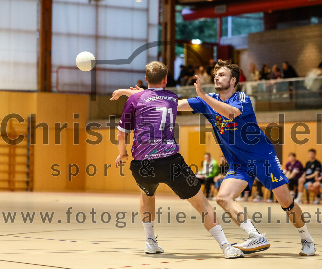 2024-10-13_032_SpVgg_Altenerding_gegen_SSG_Metten | Erding, Deutschland, 13.10.2024:Handball, Bezirksoberliga Männer 2024 / 2025, 4. Spieltag, SpVgg Altenerding gegen SSG Metten, Endergebnis: 40:22Tristan Gerhardt (SpVgg Altenerding, #71), David Huml (SSG Metten, #4)Foto: Christian Riedel / fotografie-riedel.net