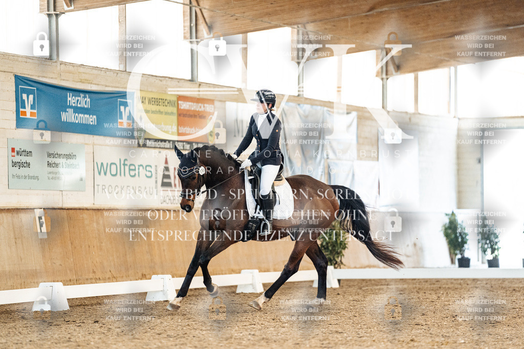 CK908435 | Turnierfotografie Pferdefotografie Trier Rheinland-Pfalz Pferdesport Reitsport Tierfotografie Sportfotografie Pferdevideo Pferdevideografie Equestrianvideography equestrianphotography  - Realisiert mit Pictrs.com