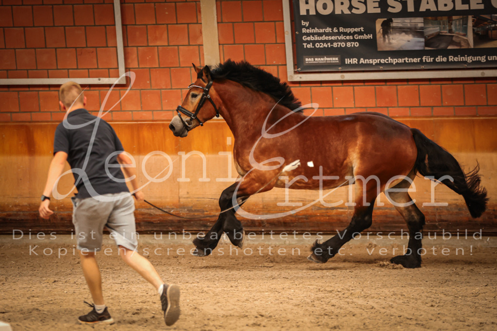 SaFL00050 | Leoni Ertmer Photography - Realisiert mit Pictrs.com