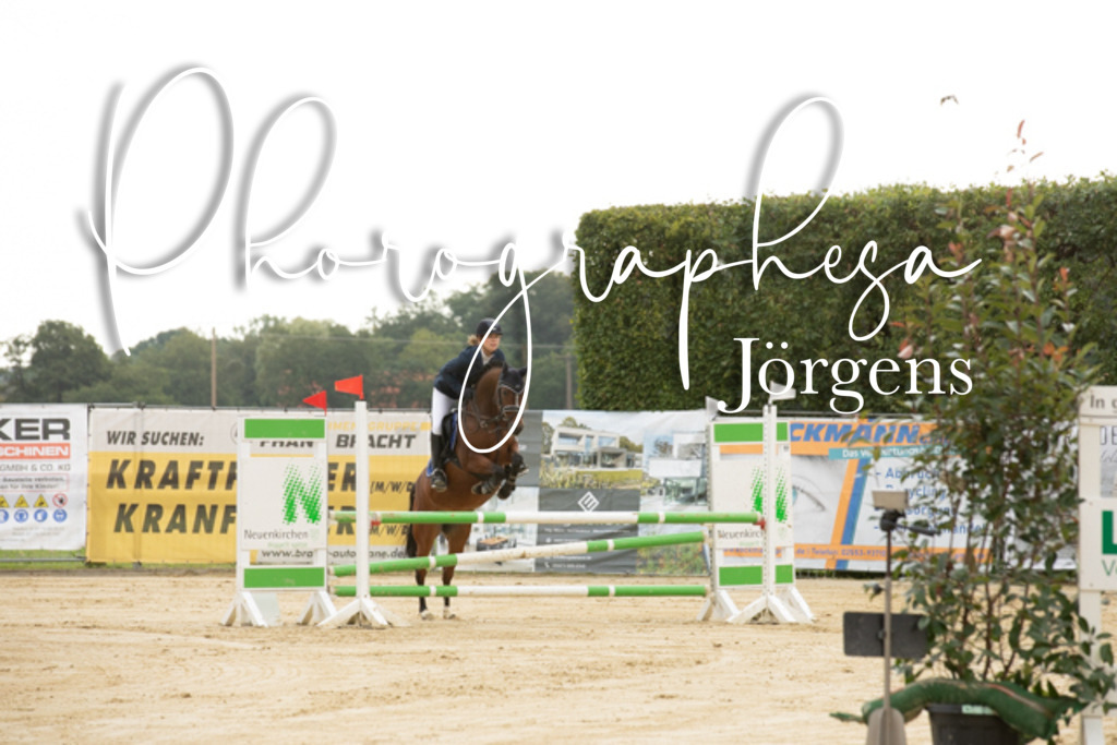 IMG_6538 | photographesa-joergens - Realisiert mit Pictrs.com